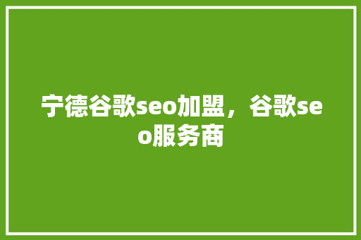 宁德谷歌seo加盟，谷歌seo服务商