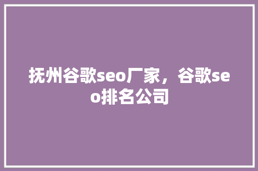 抚州谷歌seo厂家，谷歌seo排名公司