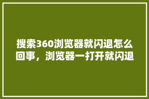 搜索360浏览器就闪退怎么回事，浏览器一打开就闪退