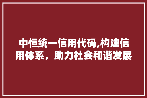 中恒统一信用代码,构建信用体系，助力社会和谐发展 中恒统一信用代码,构建信用体系，助力社会和谐发展 编程语言