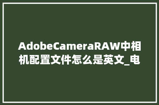 AdobeCameraRAW中相机配置文件怎么是英文_电脑配置英文怎么看的