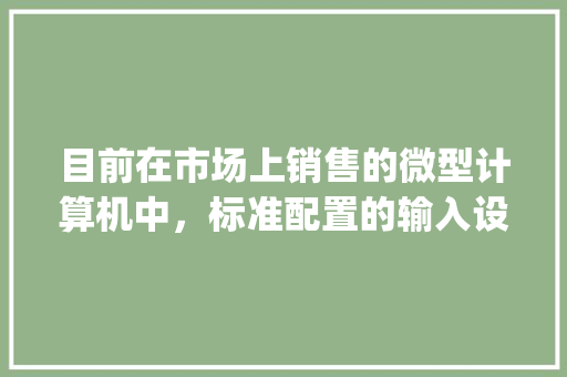 目前在市场上销售的微型计算机中，标准配置的输入设备是_怎么看电脑的配置指标是什么