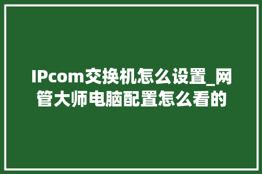 IPcom交换机怎么设置_网管大师电脑配置怎么看的