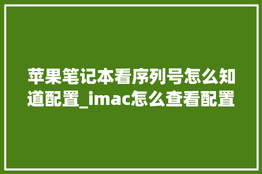 苹果笔记本看序列号怎么知道配置_imac怎么查看配置