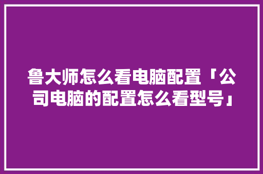 鲁大师怎么看电脑配置「公司电脑的配置怎么看型号」 鲁大师怎么看电脑配置「公司电脑的配置怎么看型号」 电脑故障维修