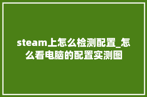 steam上怎么检测配置_怎么看电脑的配置实测图