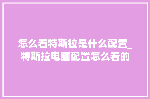 怎么看特斯拉是什么配置_特斯拉电脑配置怎么看的