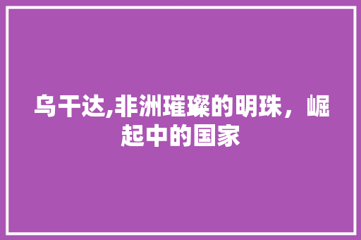 乌干达,非洲璀璨的明珠,崛起中的国家 网络技术 乌干达,非洲璀璨的明珠,崛起中的国家 乌干达,非洲璀璨的明珠,崛起中的国家 网络技术