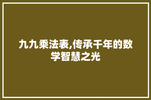 九九乘法表,传承千年的数学智慧之光 九九乘法表,传承千年的数学智慧之光 电脑基础
