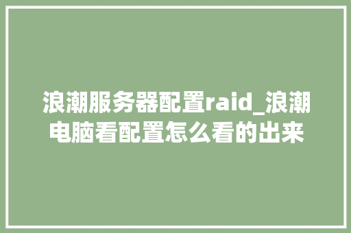 浪潮服务器配置raid_浪潮电脑看配置怎么看的出来