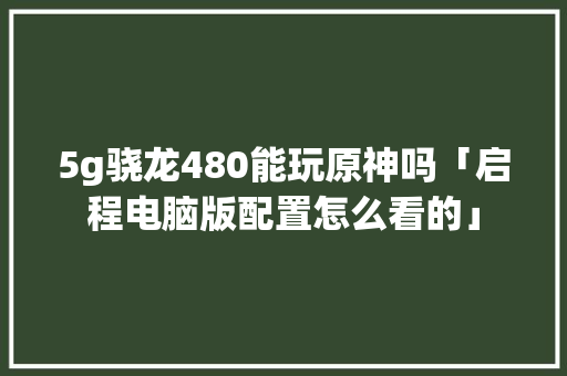 5g骁龙480能玩原神吗「启程电脑版配置怎么看的」 操作系统 5g骁龙480能玩原神吗「启程电脑版配置怎么看的」 5g骁龙480能玩原神吗「启程电脑版配置怎么看的」 操作系统