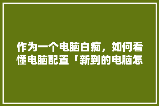 作为一个电脑白痴，如何看懂电脑配置「新到的电脑怎么看配置」 作为一个电脑白痴，如何看懂电脑配置「新到的电脑怎么看配置」 电脑配置