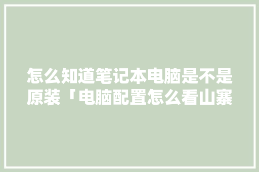 怎么知道笔记本电脑是不是原装「电脑配置怎么看山寨的型号」