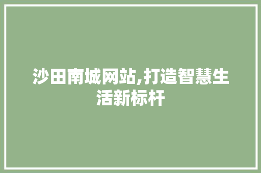 沙田南城网站,打造智慧生活新标杆 沙田南城网站,打造智慧生活新标杆 电脑故障维修