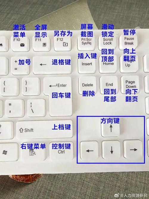 电脑键盘的功能键介绍「电脑基础知识按键图片」 电脑键盘的功能键介绍「电脑基础知识按键图片」 编程语言