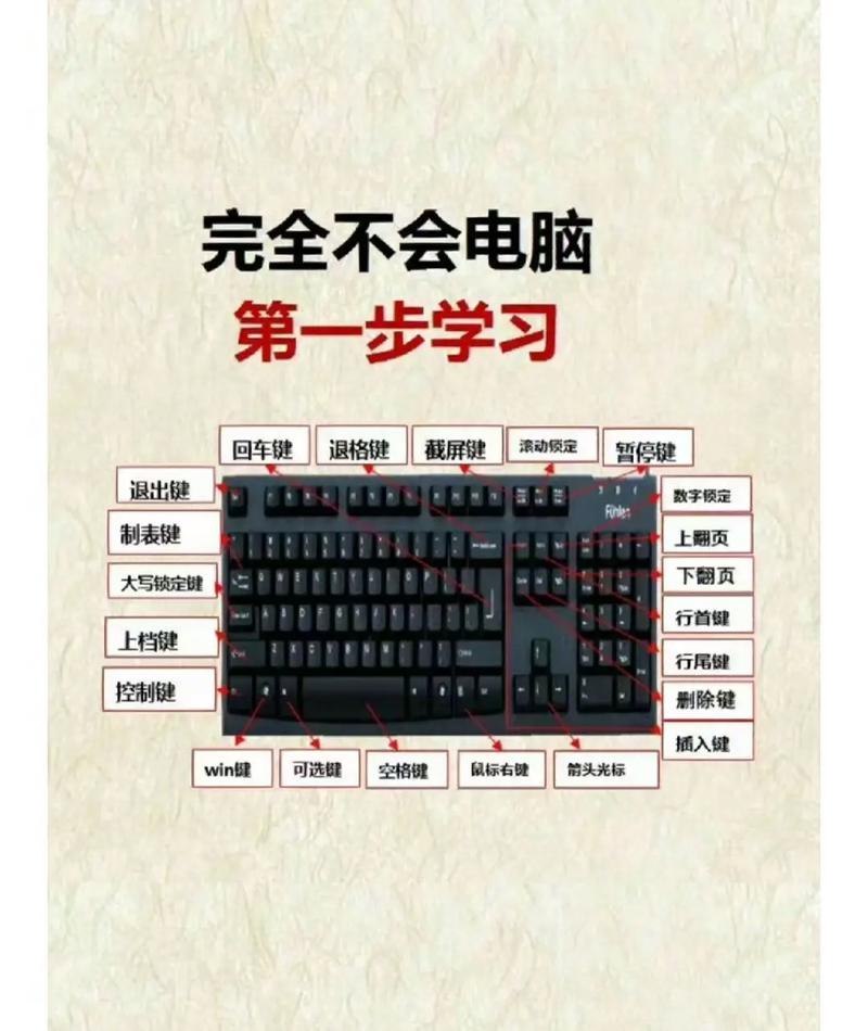 学习计算机需要有基础吗？如果需要，你觉得需要有哪些基础「电脑基础知识包括哪些内容」 学习计算机需要有基础吗？如果需要，你觉得需要有哪些基础「电脑基础知识包括哪些内容」 电脑故障维修