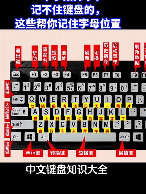 在电脑键盘上打字,每个手指各对应打哪些字母才正确啊「电脑打字基础知识技巧」 在电脑键盘上打字,每个手指各对应打哪些字母才正确啊「电脑打字基础知识技巧」 编程语言