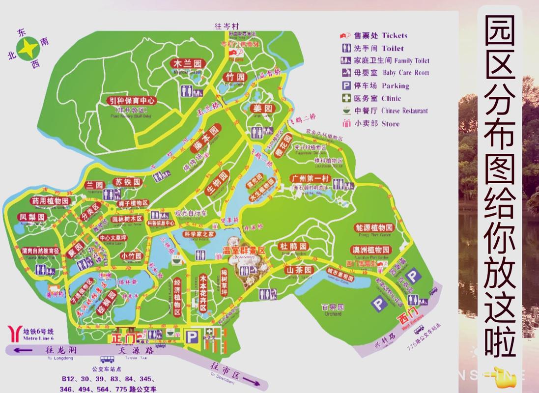 探索植物园之美,绿色天堂中的生态教育之旅 操作系统 探索植物园之美,绿色天堂中的生态教育之旅 探索植物园之美,绿色天堂中的生态教育之旅 操作系统
