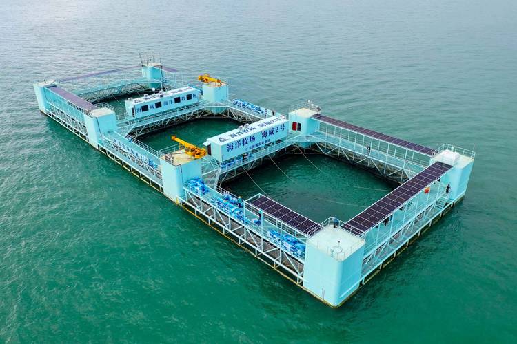 海网站,构建海洋信息共享平台,助力海洋事业发展 电脑故障维修 海网站,构建海洋信息共享平台,助力海洋事业发展 海网站,构建海洋信息共享平台,助力海洋事业发展 电脑故障维修
