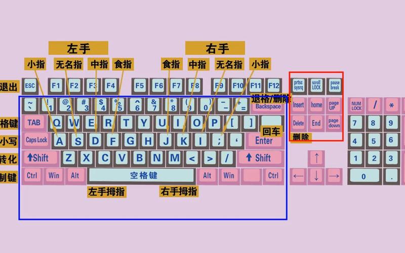计算机专业入门都有哪些课程「电脑基础知识入门教程推荐」 计算机专业入门都有哪些课程「电脑基础知识入门教程推荐」 电脑故障维修