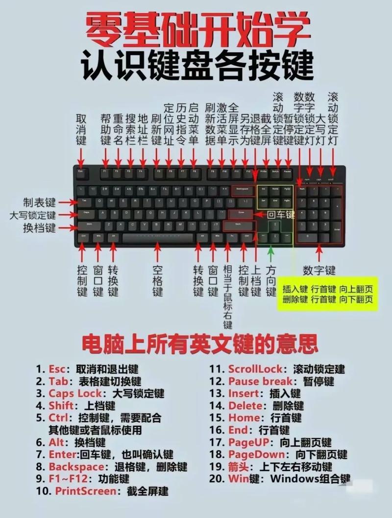 电脑最基本最全面的基础知识「电脑基础知识问题有哪些」 电脑最基本最全面的基础知识「电脑基础知识问题有哪些」 电脑故障维修